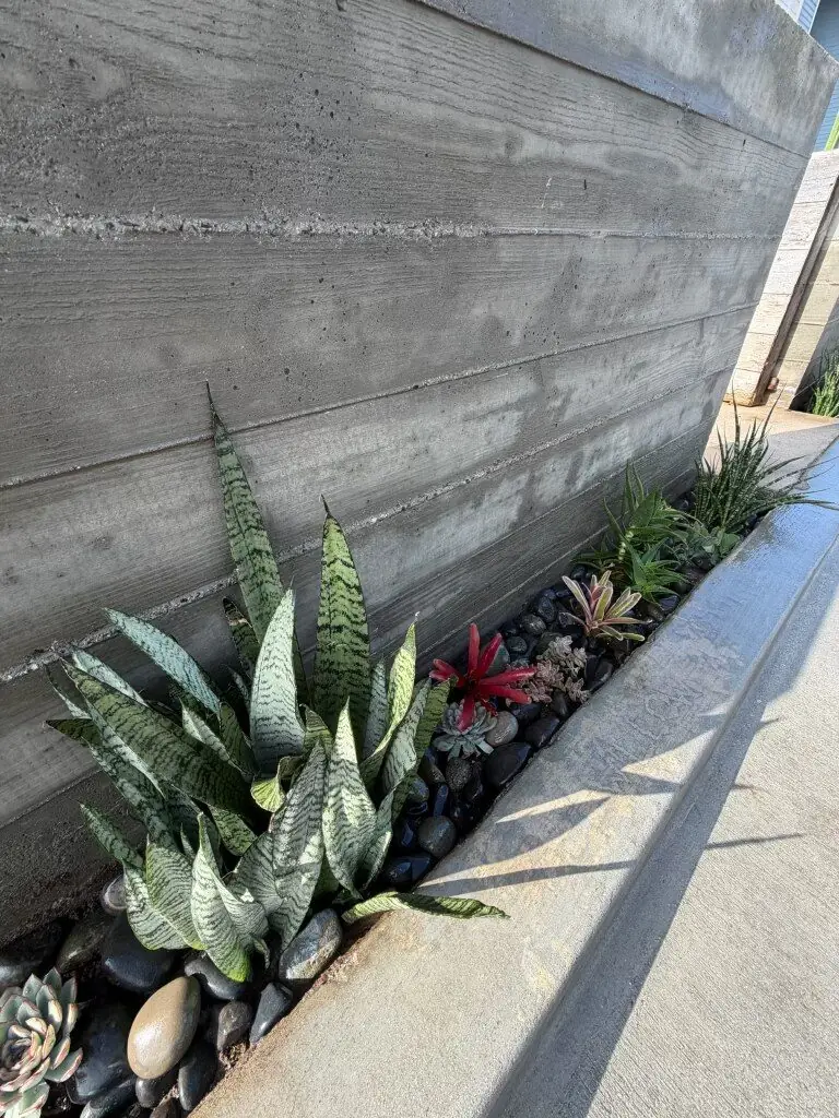 Succulent and river rock planting bed along a board-formed wall in Manhattan Beach, California
