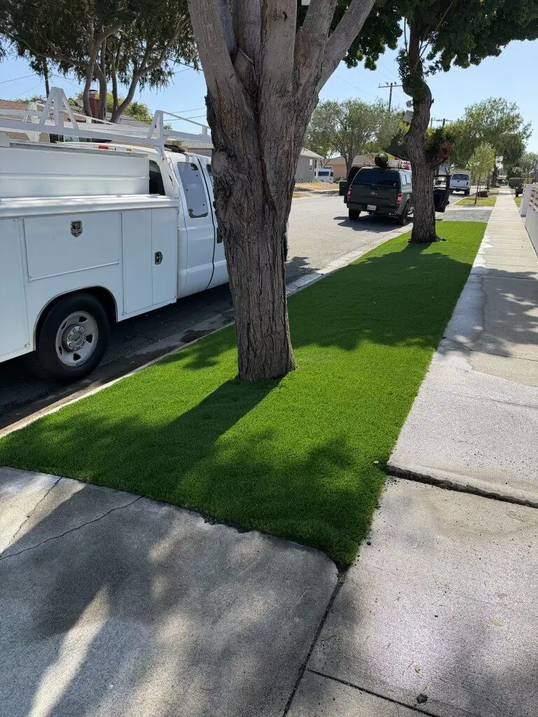 Completed artificial turf parkway strip cut around street trees in Hermosa Beach, California